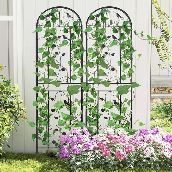 2Pack Anti-rust Metal Garden Trellis Wall Decorative Screen Privacy Fence for Vine Rose Cucumbers,19.7x82.7 inch