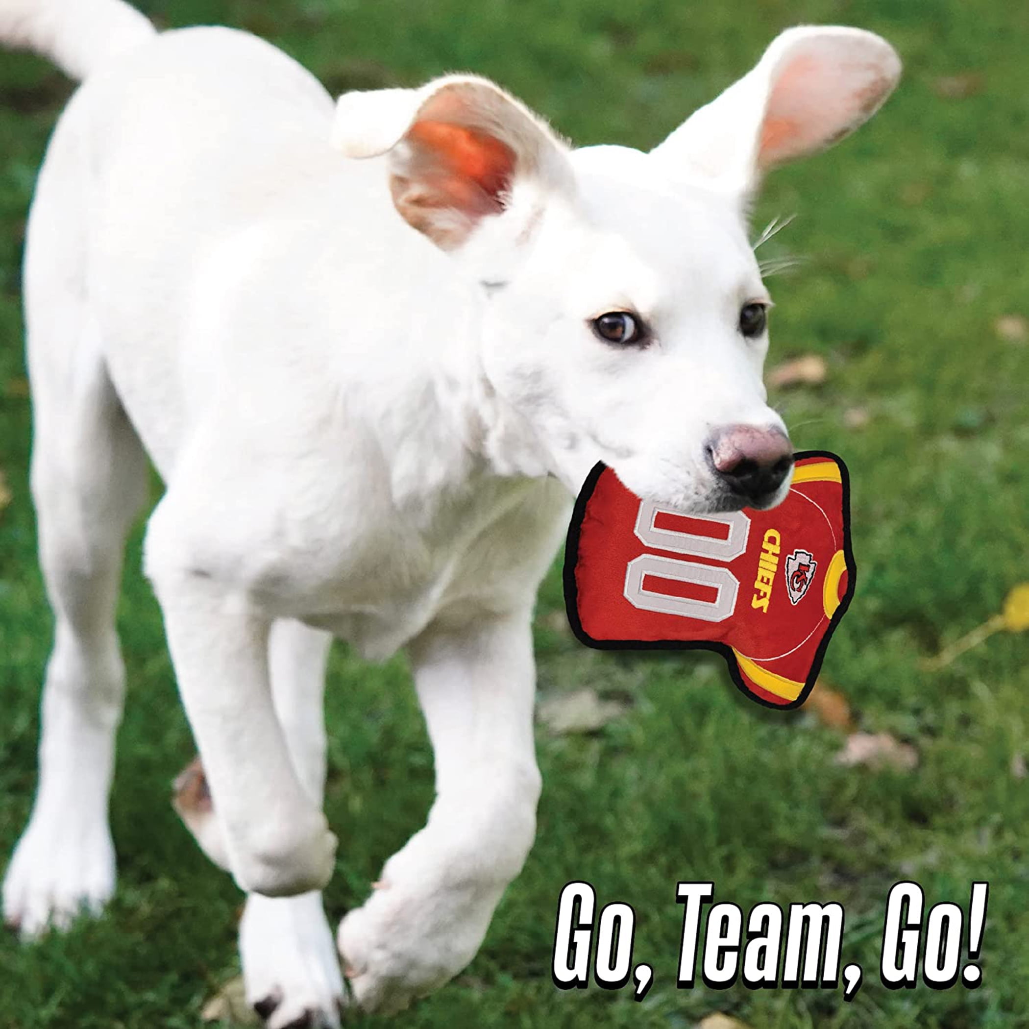 NFL Tough Jersey Pet Dog Toy Premium Quality with Built-in Squeaker Chew Toy