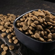 Crave Grain Free Indoor Natural Dry Cat Food With High Protein From Chicken & Salmon, 10 Lb. Bag