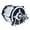 Sine wave, variant on 48V 60V 72V 1800W 3200RPM 3900RPM Electric Tricycle High Speed Brushless Differential Motor