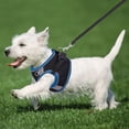 thumbnail image 3 of Sehao Dog Harness for Small Medium Large Dogs No Pull Puppy Harness and Leash Set Dog Harness for Walking Running Training Small Dog Harness Medium Dog Harness (Black&Blue S), 3 of 4