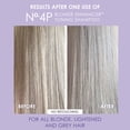 thumbnail image 5 of Champú Olaplex No. 4P Blonde para mejorar la tonificación, 250 ml, 5 of 5