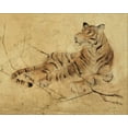 thumbnail image 2 of Blum, Cheri 32x26 Gold Ornate Wood Framed with Double Matting Museum Art Print Titled - Global Tiger Light Crop, 2 of 4