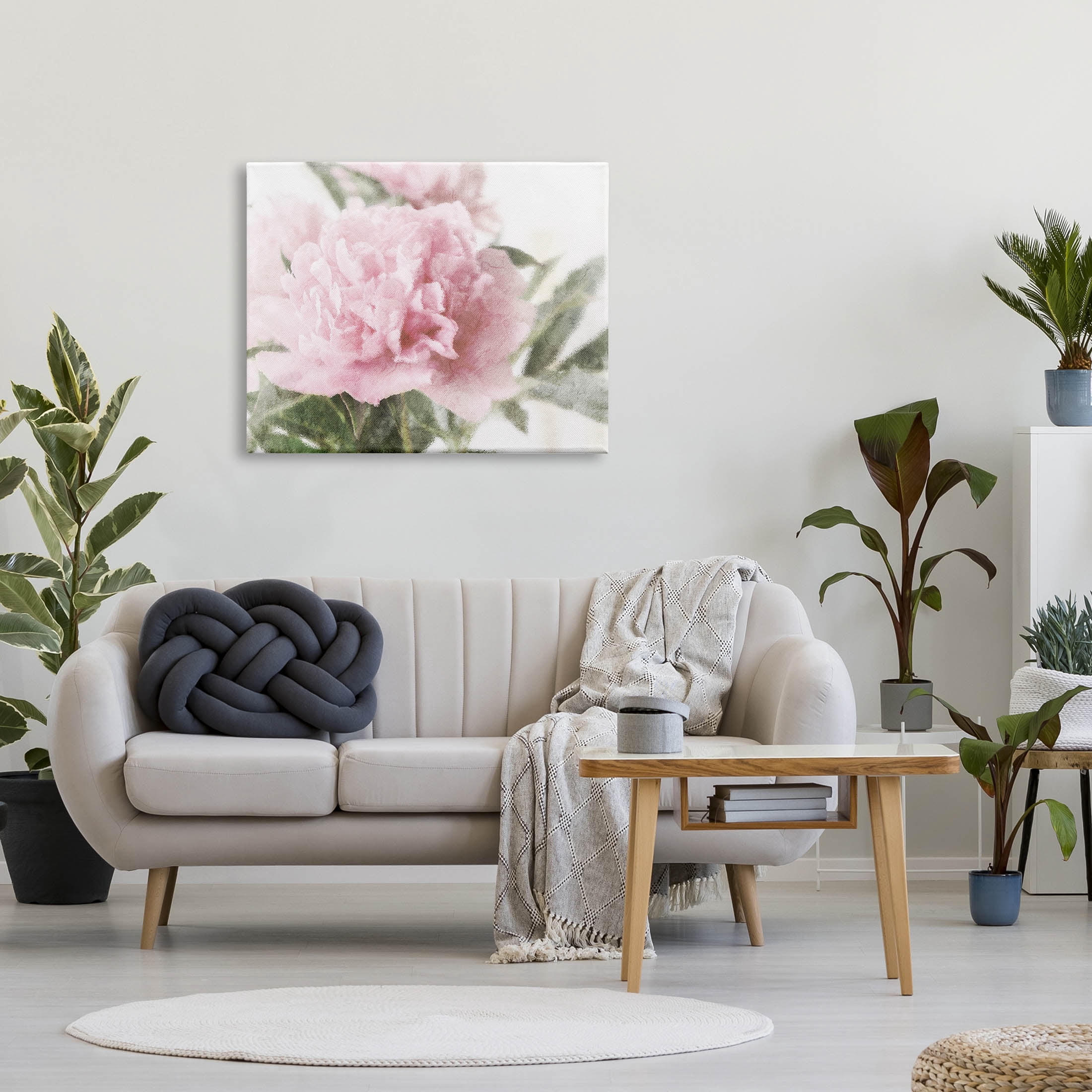 Soft Pink Carnation Blossom Botanical & Floral Graphic Art Gallery Wrapped Canvas Print Wall Art