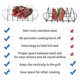 thumbnail image 5 of Barbecue Rib Rack for Smokers,Barbecue Rack,for Charcoal Barbecue, 5 of 5