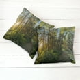 thumbnail image 6 of Ambesonne Nature Throw Pillow Cover 2 Pack, National Park Trees Path, 18", Blue Green, 6 of 7