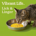 thumbnail image 4 of Vibrant Life Silicone and Stainless Steel Lick Mat Cat Saucer, 4 of 8