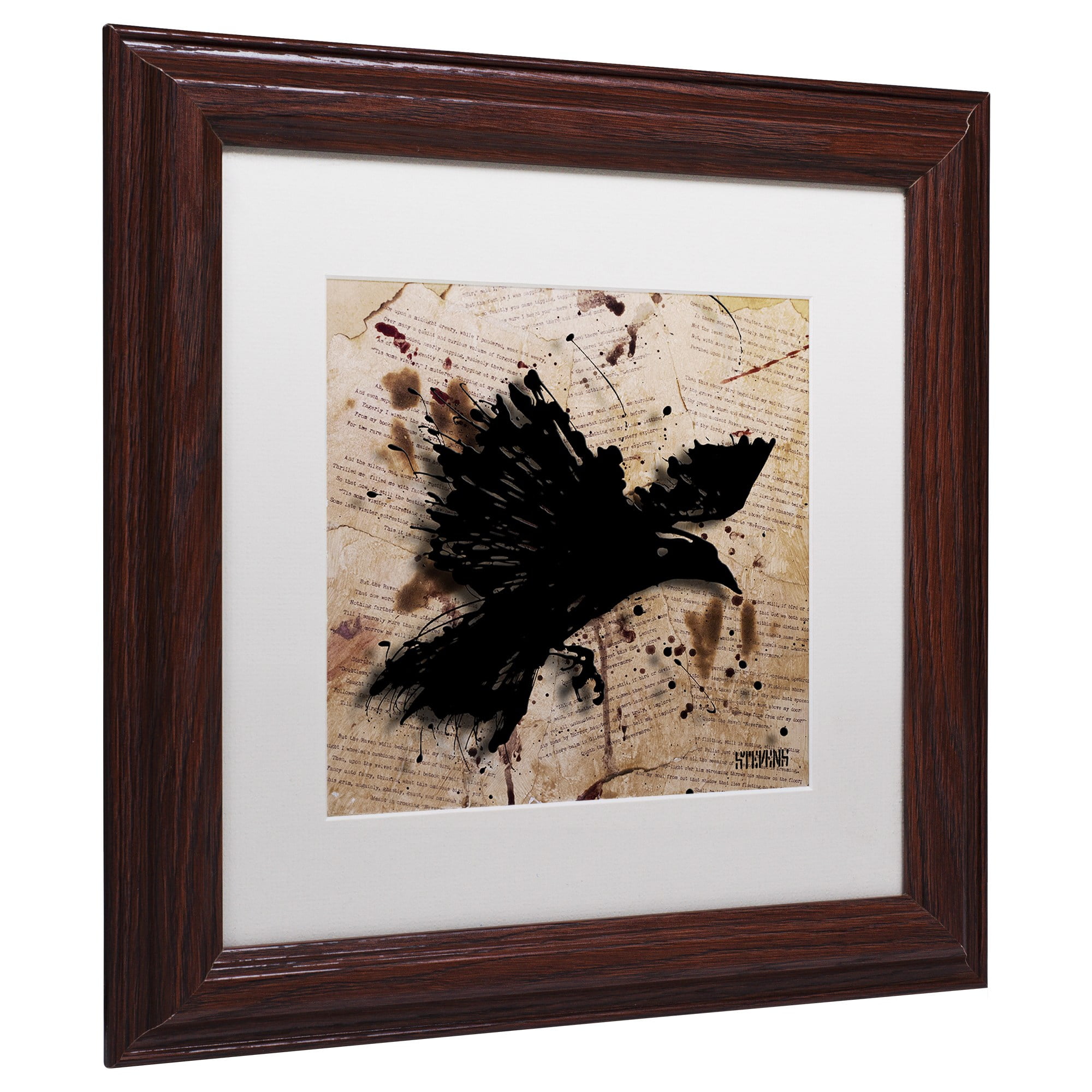 Trademark Fine Art "The Raven 1" Canvas Art by Roderick Stevens, White Matte, Wood Frame