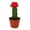 Red, variant on Red Puff Euphorbia Cactus - 1 Live Starter Plant - Grafted Euphorbia Trigona - Colorful Architectural Crowned Cactus Succulent