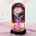thumbnail image 5 of Herrnalise Colorful Enchanted FlowerRose, LED Light String on The Colorful Flower,Lasts Forever in A Glass Dome,Rose Gifts for Women,Christmas,Wedding,Valentine's Day,Anniversary Birthday, 5 of 8