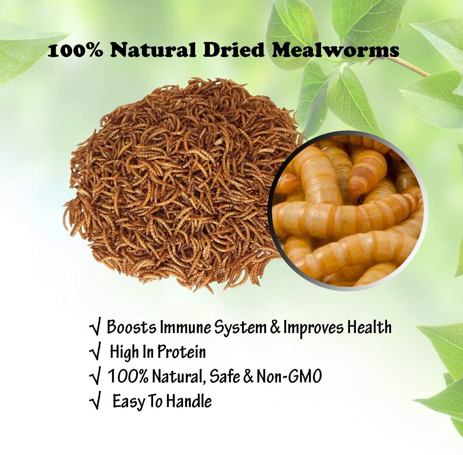 Amzey Freeze Dried Mealworms Wild Bird Food, 2 lb. Bag