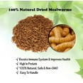 thumbnail image 2 of Amzey Freeze Dried Mealworms Wild Bird Food, 2 lb. Bag, 2 of 7