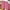 Pink, variant on ICHUANYI Womens Comfy Drawstring Splice Casual Elastic Waist Pocketed Loose Shorts Pants