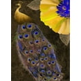 thumbnail image 2 of Sasha 19x24 White Modern Wood Framed Museum Art Print Titled - Plumage II, 2 of 4