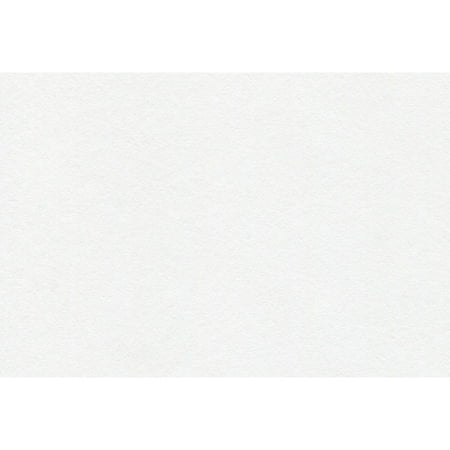 UPC: 3148950046932 | Canson Foundation Sketch Roll 48in x 10 yds.