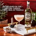 thumbnail image 4 of Jose Cuervo Tradicional Reposado Tequila, 750 ml Glass Bottle, 40% ABV, 4 of 10