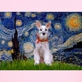 thumbnail image 3 of CafePress - Starry Night Schnauzer Kids Light T Shirt - Light T-Shirt Kids XS-XL, 3 of 4