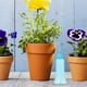 thumbnail image 3 of GOOHOCHY 1 juego de mini herramientas para suculentas, juego de herramientas de jardinería, cultivador, herramientas de trasplante de suculentas para jardinería., 3 of 8