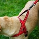 thumbnail image 2 of Arnés para perros pequeños, color rojo, talla S, de Norwegian Kong, 2 of 4