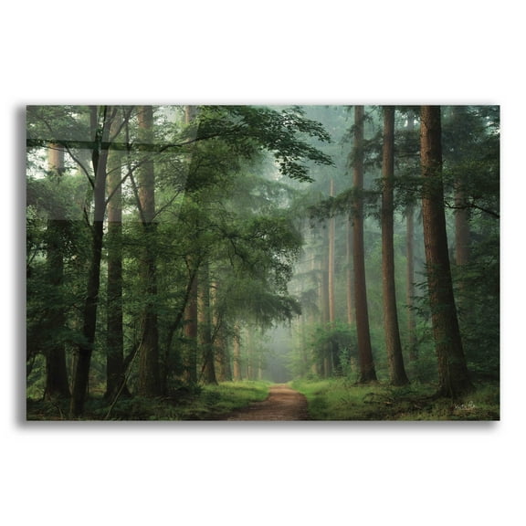 Epic Art 'Moody Green' by Martin Podt, Acrylic Glass Wall Art, 16"x12"