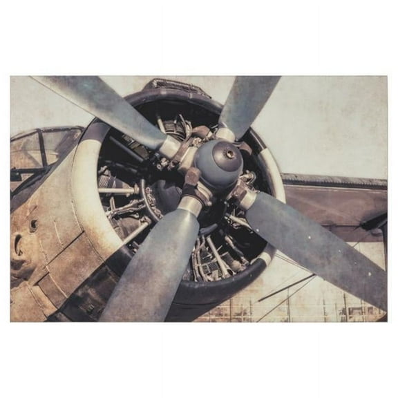 Yosemite Home Decor "Iron Bird" Tempered Glass/Wood Photographic Art in Gray