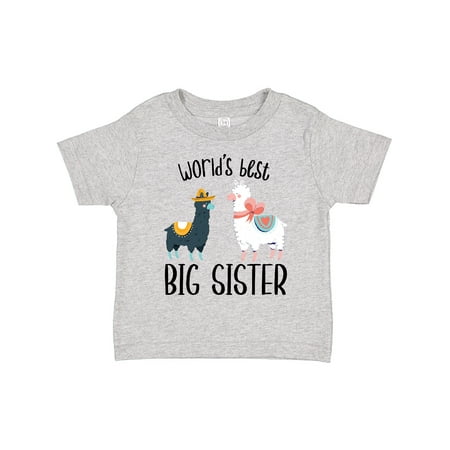 

Inktastic World s Best Big Sister Gift Toddler Toddler Girl T-Shirt