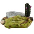 thumbnail image 1 of Reptile Bol d'Eau Résine Design Cactus Bol de Nourriture Lézard Bol d'Eau Tortue, 1 of 8