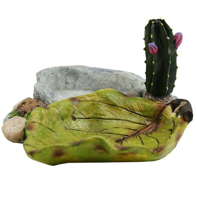 Reptile Bol d'Eau Résine Design Cactus Bol de Nourriture Lézard Bol d'Eau Tortue