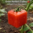 thumbnail image 4 of Fruit Mold Set – Plant Shaping Tool, Triangle Cube Design Garden Form, Reusable PP for Tomatoes & Strawberries, Creative Fruit Shaping(RL 3 PCS), 4 of 6