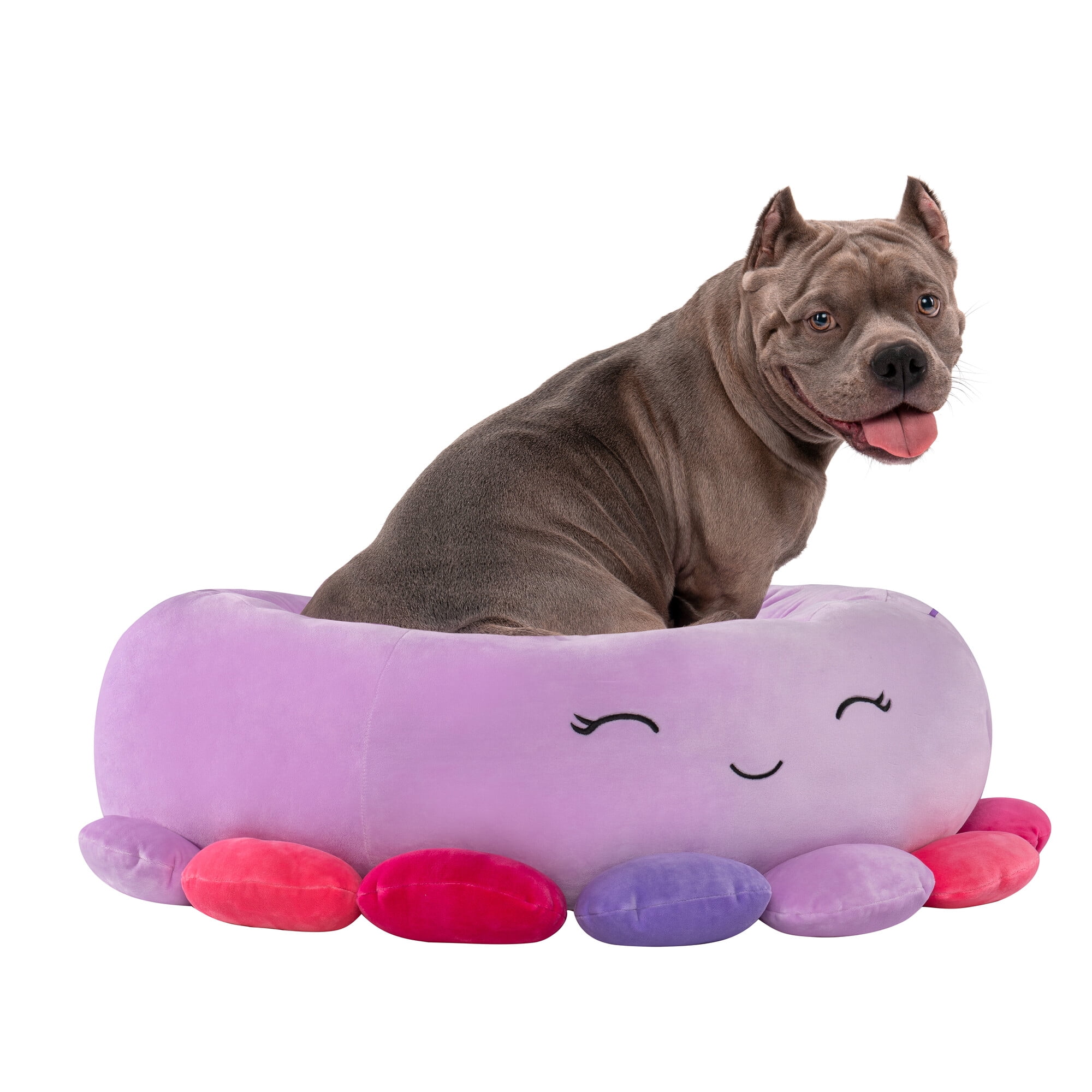 Ultrasoft Squishmallows Dog Bed Review - Sidewalk Dog
