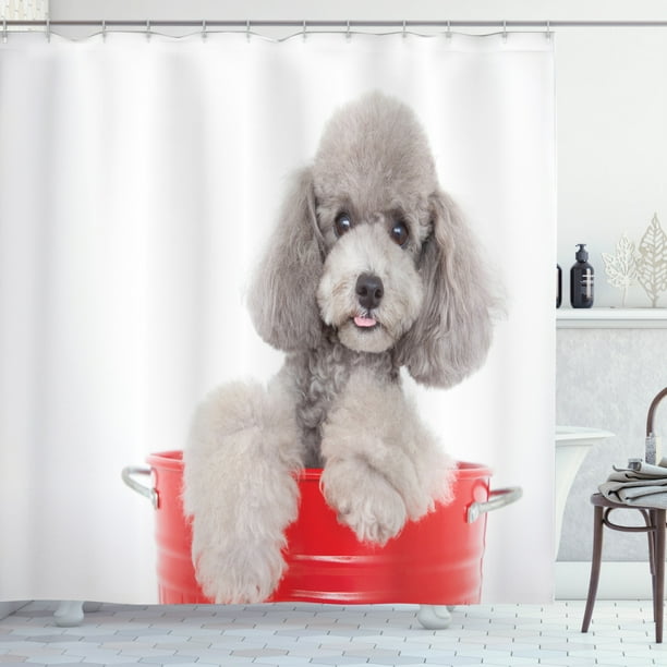 Poodle Shower Curtain Pet Animal In A Bucket Posing Puppy Eyes Fabric Bathroom Set With Hooks Poodle Shower Curtain Pet Animal In A, Poodle Shower Curtain Hooks