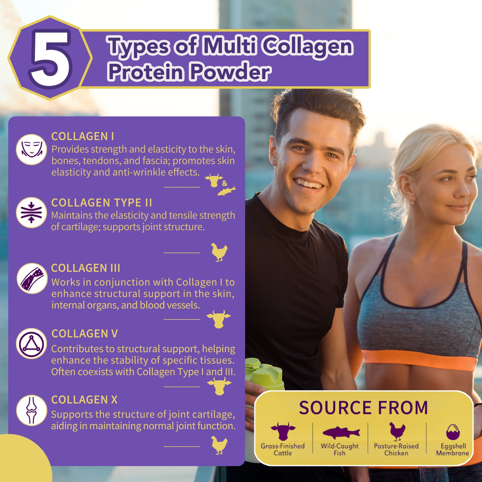 Zammex Multi Collagen Peptides Powder 21.2oz, Unflavored Hydrolyzed Multi Collagen Protein Powder, Collagen Types I,II,III,V,X, 2-Months Supply
