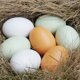 thumbnail image 2 of Huevos falsos baratos de simulación de madera, pollo, pato, ganso, huevo pintado de imitación para niños, juguetes educativos, comida artificial, juguete de Pascua, 2 of 5