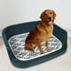 thumbnail image 4 of Bandeja de arena para mascotas, soporte para toallas sanitarias, inodoro profundo para gatos, bandeja de arena para perros Azul, 4 of 9