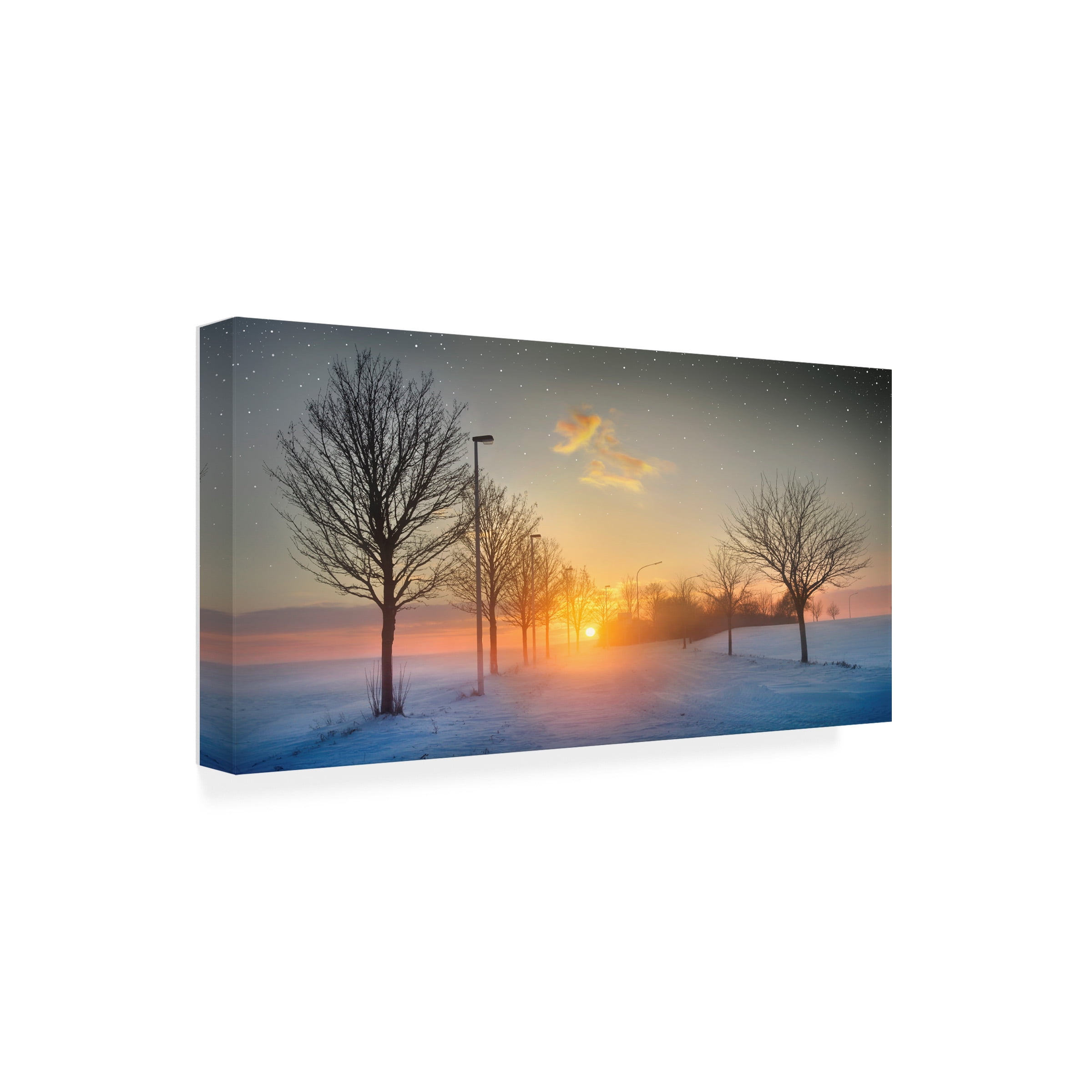 Ben Heine 'New Year, New Hopes' Canvas Art