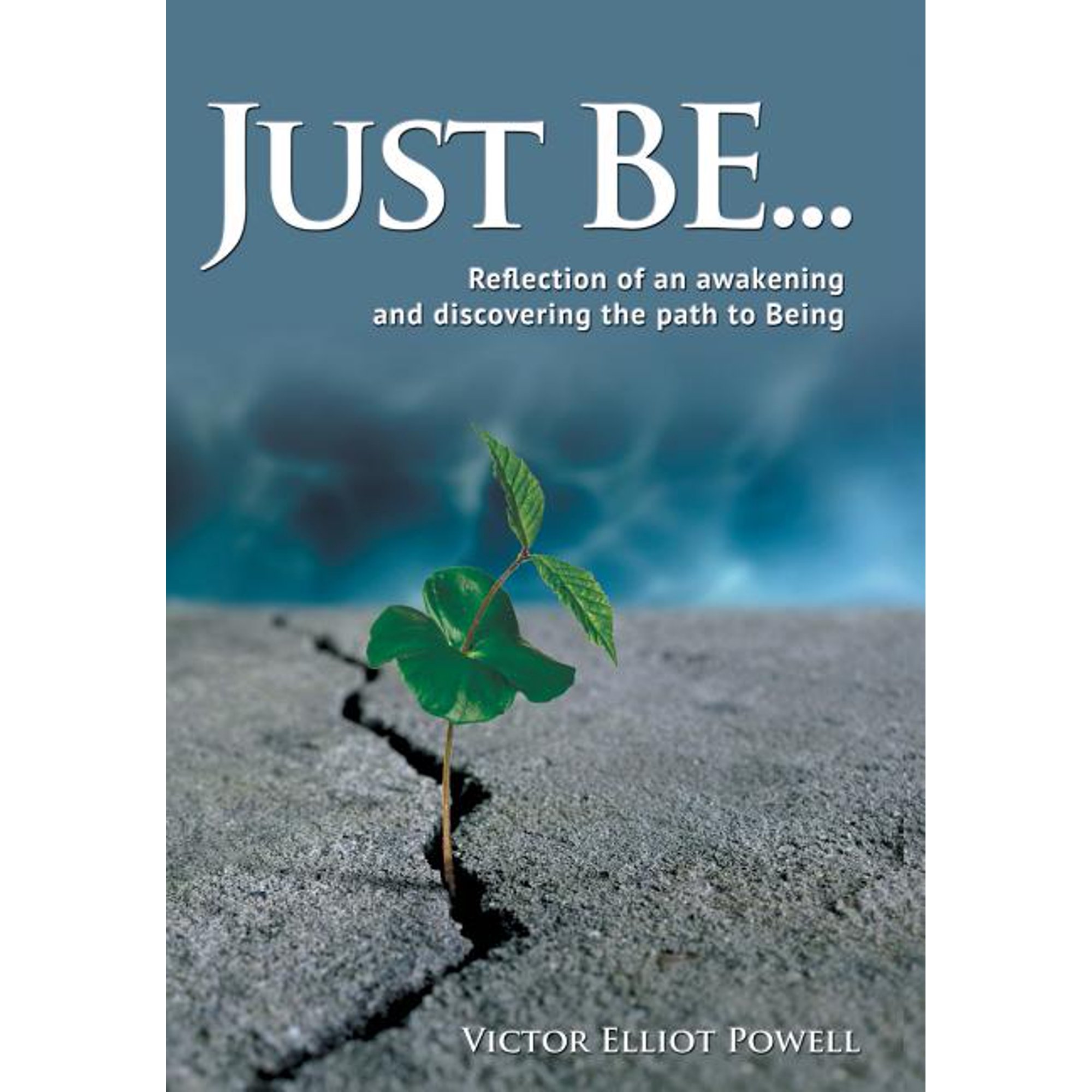 Just Be...: Reflection of an Awakening and Discovering the Path to Being (Hardcover)