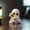 Cute Ghost Ornaments Under $5 a3, variant on Usloyux Cute Ghost Ornaments, Peculiar Resin Decorations for Mini Office Desk, Whimsical Small Statue Figurine, Funny Oddity Gift for Home Shelf Shelfie Decor