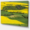thumbnail image 2 of Rapeseed Fields and Green Wheat - Landscape Canvas Art Print, 2 of 4