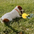 thumbnail image 1 of Bolas interactivas de juguete para perros de material EVA resistentes a la mordedurmarilla para el entrenamiento de perros Bola de 7 cm con cuerda Colco bola masticable, 1 of 8