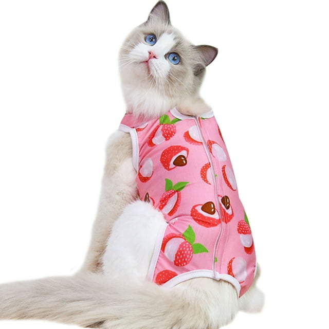 Ropa para esterilización de gatos, ropa para recuperación postoperatoria de manos y mascotas, ropa para mascotas con estampado de frutas y lichis 1867