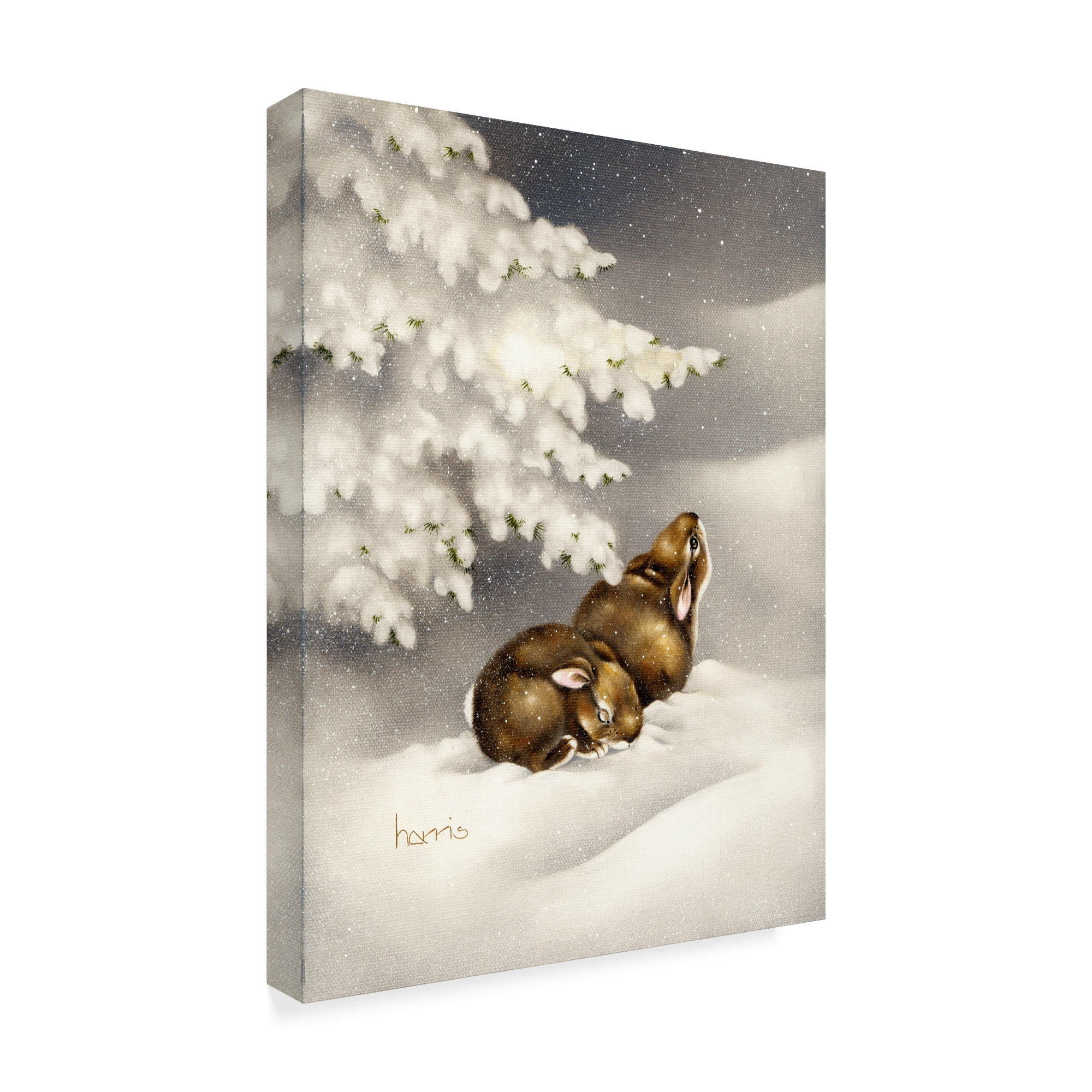 Trademark Fine Art 'Peace On Earth Rabbit' Canvas Art by Peggy Harris