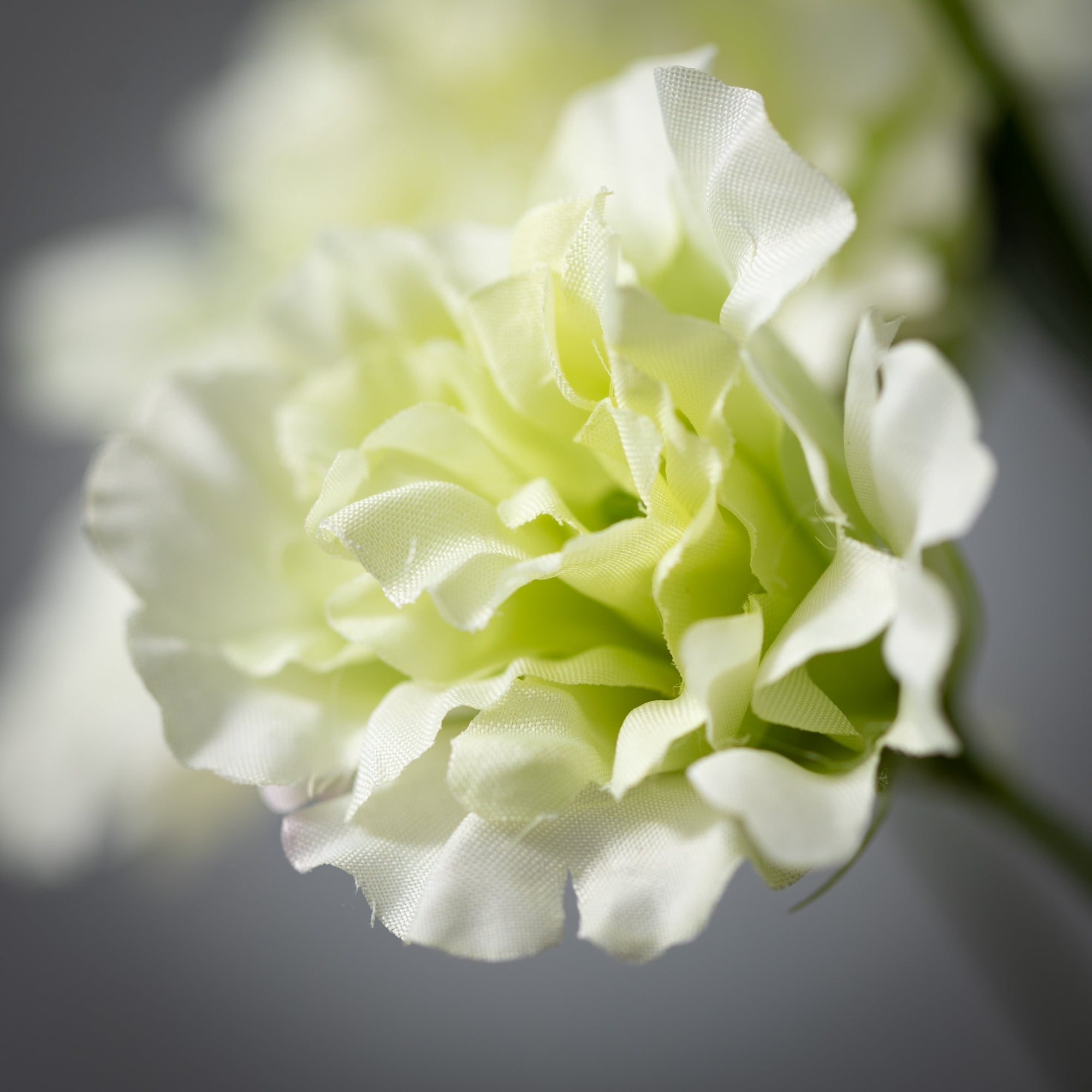35"H Sullivans Cream Lime Green Lisianthus, Multicolored
