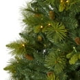 thumbnail image 5 of Nearly Natural 7.5ft North Carolina Mixed Pine Christmas Tree w/470 LED, 5 of 8