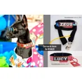 thumbnail image 4 of Collares Personalizados P/razas Chicas, 4 of 6