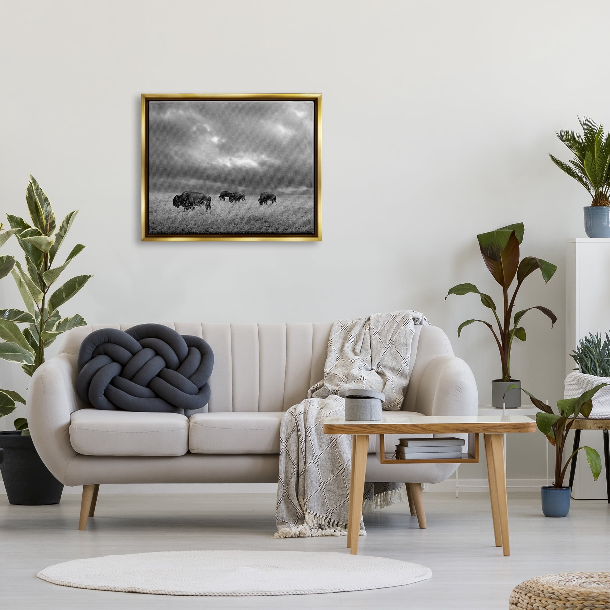 Stupell Industries Bison in Cloudy Field Landscape Photography Gold Floater Framed Canvas Art Print Wall Art, 31 x 25