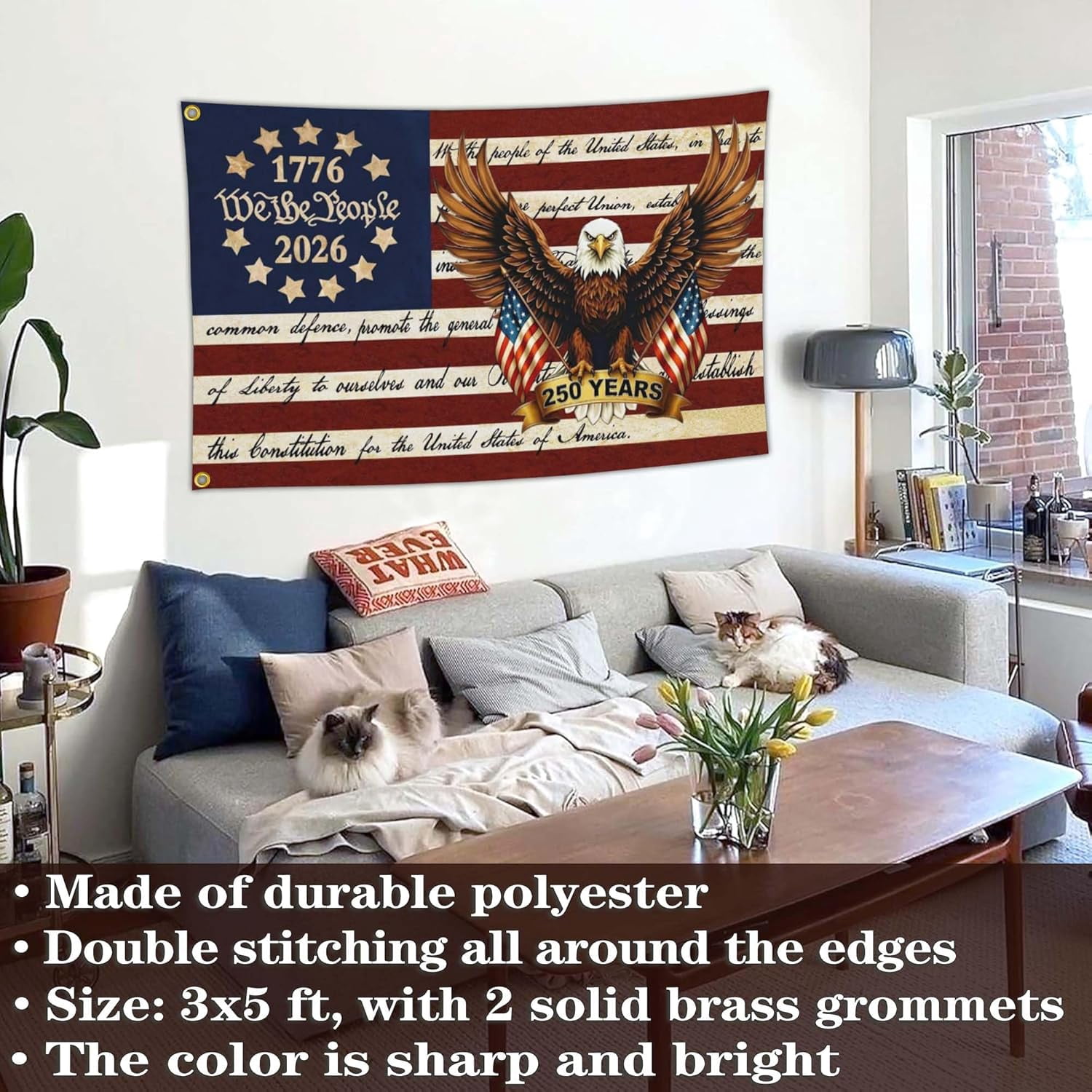 3Ply Double Sided 3x5 FT 250 Year American Anniversary Flag 250th Anniversary USA Patriotic Betsy Ross We The People 1776 Flag for Outside 4th of July Decorations
