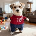 thumbnail image 5 of Adorable 3D Themed Apparel For Puppy Dogs And Cats Pet Fashion Accessory, 5 of 5