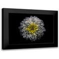 thumbnail image 1 of Carson, Brian 24x18 Black Modern Framed Museum Art Print Titled - Backyard Flowers 46, 1 of 5