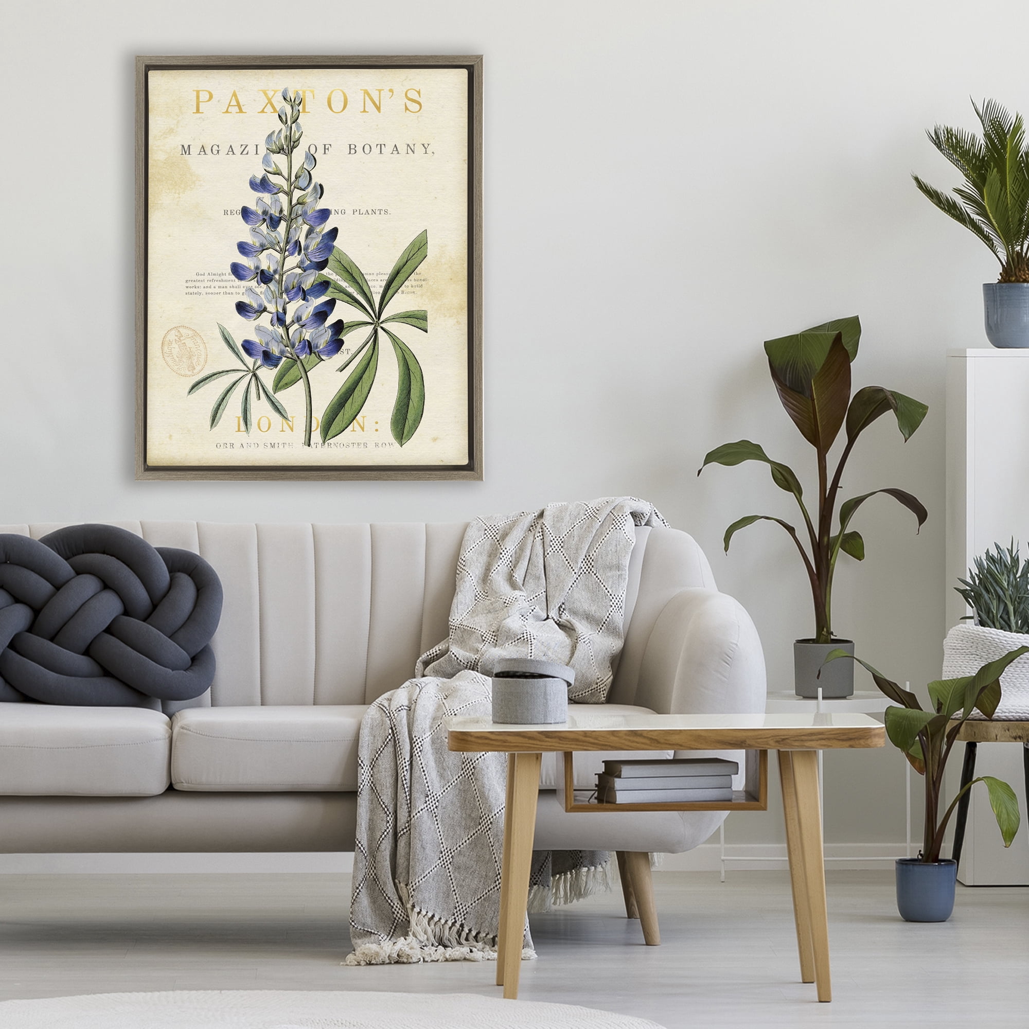 Stupell Industries Natural Botany Lupine Brown Framed Floater Canvas Wall Art, design by Susan Arnot