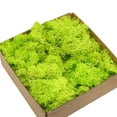 thumbnail image 2 of Gwong Decoración hogareña 1 caja eterna vida secada musgo mini paisaje decoración bricolaje flor artesanía accesorio Gwong 21038957, 2 of 7
